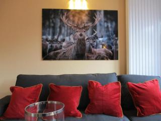 Chalet Platzhirsch - Braunlage - 8