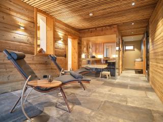 HILL - 73 by AA Holiday Homes - Tauplitz - 9