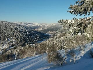 Chalet romantique avec terrasse, confort moderne, proche activités nature et ski à Cornimont - FR-1-589-41 - 2