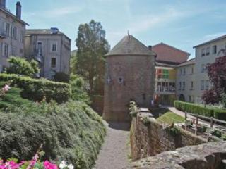 Appartement Rénové, Proche Centre-Ville Épinal, 2 Chambres, Confort, WiFi, Parking - FR-1-589-54 - Épinal - 6