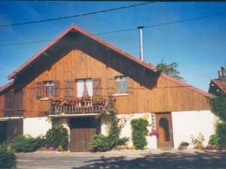 Gîte nature, 15 km de Gérardmer, randonnée, ski, jardin, terrasse, BBQ, équipements bébé inclus - FR-1-589-64 - Champdray - 3