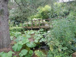 Gîte nature, 15 km de Gérardmer, randonnée, ski, jardin, terrasse, BBQ, équipements bébé inclus - FR-1-589-64 - Champdray - 1