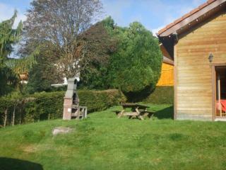 Chalet spacieux à Gérardmer avec terrasse et équipements familiaux - FR-1-589-65 - 2