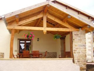 Gîte spacieux avec terrasse, confort moderne dans un cadre verdoyant et propice aux balades. - FR-1-589-79 - 1