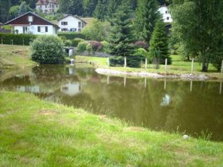 Gîte familial aux Vosges avec jeux pour enfants, à proximité de la nature et activités sportives - FR-1-589-111 - Le Ménil - 6