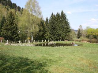 Gîte familial aux Vosges avec jeux pour enfants, à proximité de la nature et activités sportives - FR-1-589-111 - 2