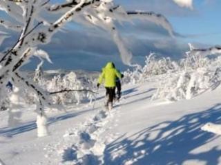 Gîte chaleureux à La Bresse avec terrasse, barbecue et proche des pistes de ski - FR-1-589-189 - 2