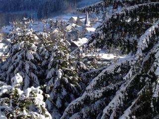 Maison de charme à Lubine, idéale pour randonnées et famille, proche Alsace et stations de ski - FR-1-589-192 - 6