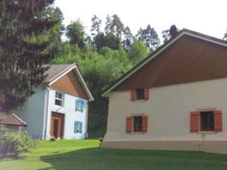 Gîte Confortable en Pleine Forêt avec Étang, Idéal pour Familles et Amis - FR-1-589-154 - 7