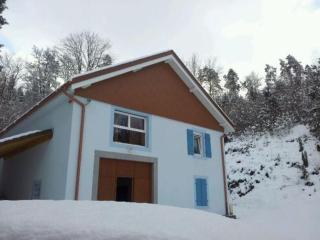 Gîte Confortable en Pleine Forêt avec Étang, Idéal pour Familles et Amis - FR-1-589-154 - 5
