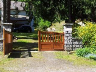 Gîte Confortable en Pleine Forêt avec Étang, Idéal pour Familles et Amis - FR-1-589-154 - 1