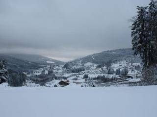 Gîte calme avec terrasse près de Gérardmer - FR-1-589-158 - Le Tholy - 9