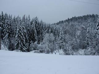 Gîte calme avec terrasse près de Gérardmer - FR-1-589-158 - Le Tholy - 6