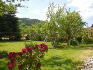 Maison de caractère avec jardin, terrasse et équipements pour grandes familles au Val-d'Ajol - FR-1-589-169 - Le Val-dʼAjol - 5