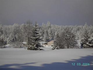 Chalet cosy en bordure de forêt avec wifi, terrasse et équipements complets à Rochesson - FR-1-589-235 - 9