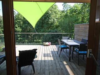 Gîte chaleureux avec terrasse, proche sentiers de randonnée, équipements inclus, à 30min de Saint-Dié - FR-1-589-381 - Le Saulcy - 6