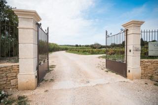 Chambres d'hôtes - Domaine de Cristia - Courthézon - 6