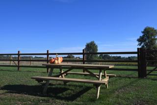 De Sint-Antoniushoeve - Zonnebeke - 2