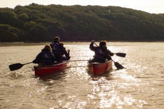 Tonic at The Little Retreat, Pembrokeshire - Kilgetty - 7