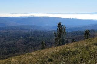 Casa Carmiña: Casa para pequeños grupos en el corazón de Galicia - O Irixo - 6