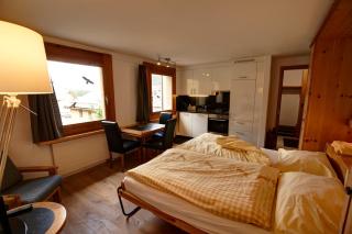 Chesa Munteratsch 1-Zimmerwohnung 411 Typ A - Silvaplana - 5