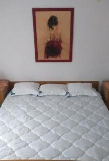 Pensiunea Cabana Viselor ,Apuseni - 5