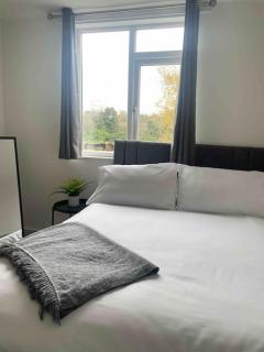 Lovely 3 Bedroom property with extensive parking - 9