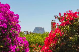 Villa Erik - PlusHolidays - Calpe - 6