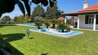 Solar da Boavista - - 8