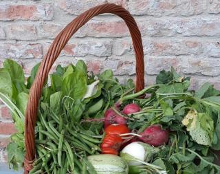 Cascina Angelina - 4