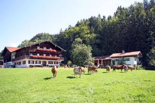 Bauernhof Ertlhof - Sachrang - 9