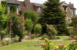 Hotel La Roseraie - Chenonceaux - 0