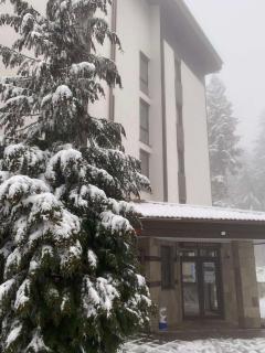 HQ Apartment Flora Violet - 0