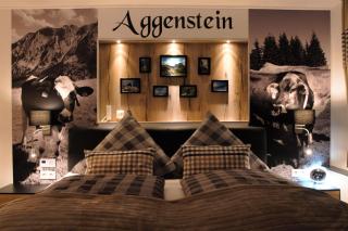 Nr 3 "Aggenstein"-EINZIGARTIGE Studio mit Süd Balkon inkl Königscard - Pfronten - 8