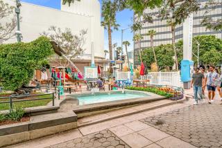 Renovateed Two-Bedroom Apartment in Santa Monica - 6