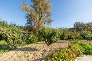 Villa Galateia - Dhafnés - 8