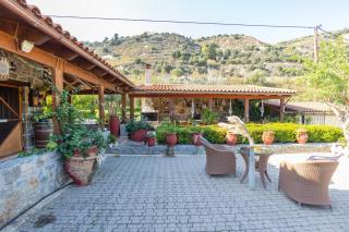 Villa Galateia - Dhafnés - 7