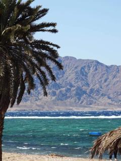 Villa sarda Green - Dahab - 0