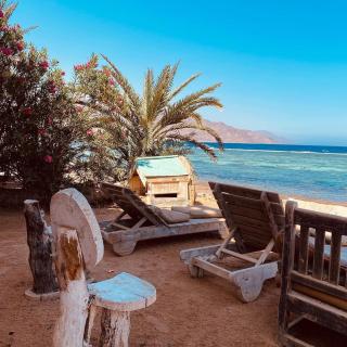 Villa sarda Green - Dahab - 8