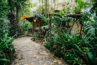 Arahuana Jungle Resort & Spa - Tena - 4
