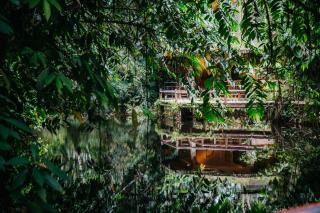 Arahuana Jungle Resort & Spa - Tena - 3