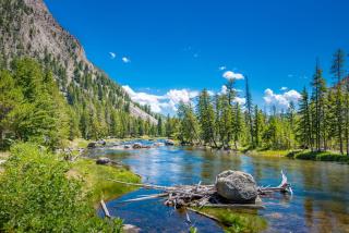 Under Canvas North Yellowstone - Paradise Valley - Livingston - 3
