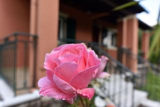 Villa Melian - 8' from Kontogialos Beach - 3