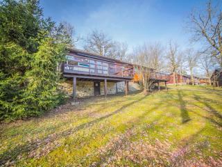Ardennes chalet near Somme-Leuze with terrace - Somme-Leuze - 6
