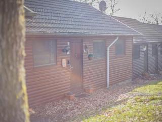 Ardennes chalet near Somme-Leuze with terrace - Somme-Leuze - 1
