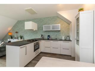 Holiday home with Zoutelande coastline view - Zoutelande - 1