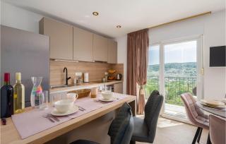 Gorgeous Home In Srinjine With Kitchen - Srinjine - 5