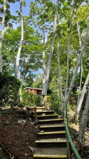 Hotel Cerro Lodge - Tárcoles - 7