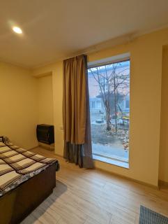 Berdo's Guest house - Sagarejo - 3