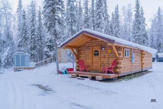 1 Bd. Deluxe Log DRY Cabin| Views Northern Lights! - Fairbanks - 6